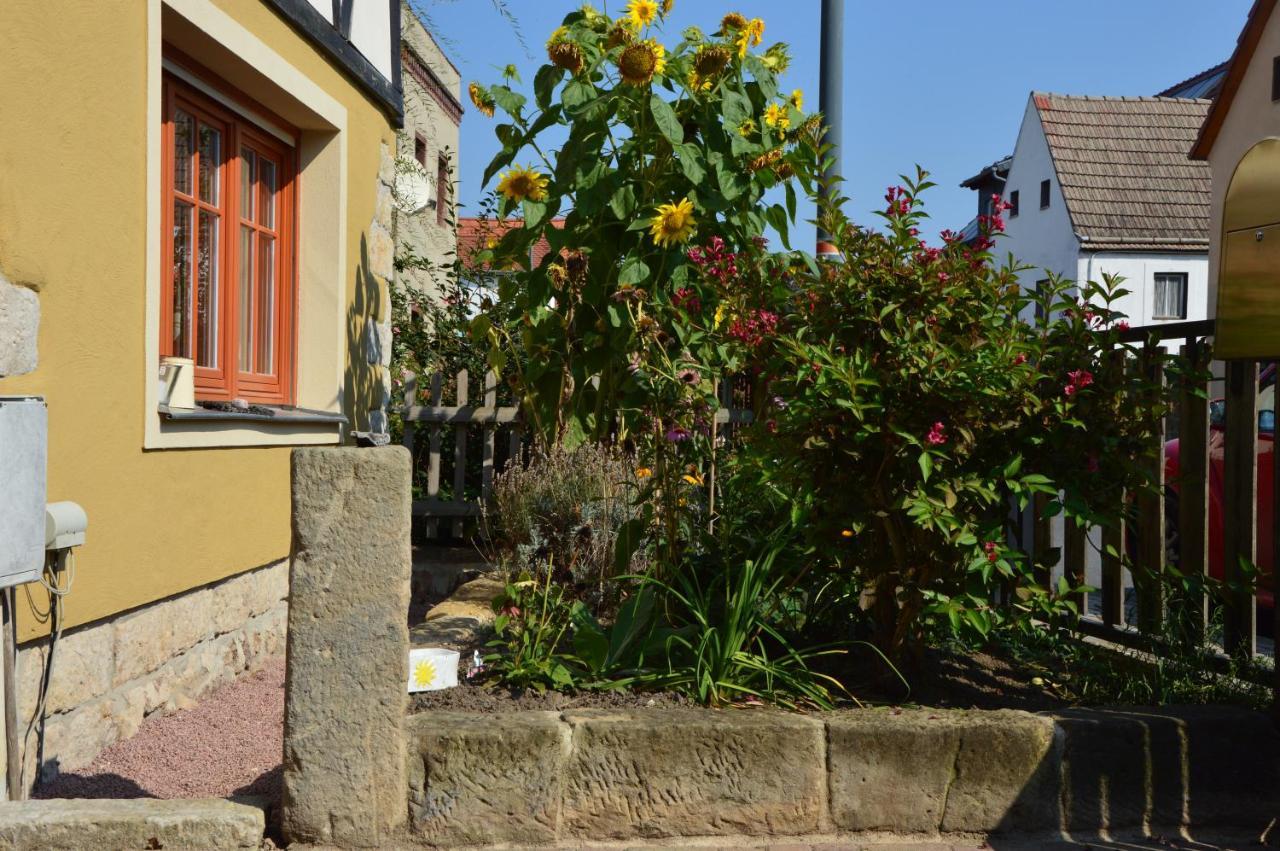 Dreiseitenhof Radebeul Luaran gambar